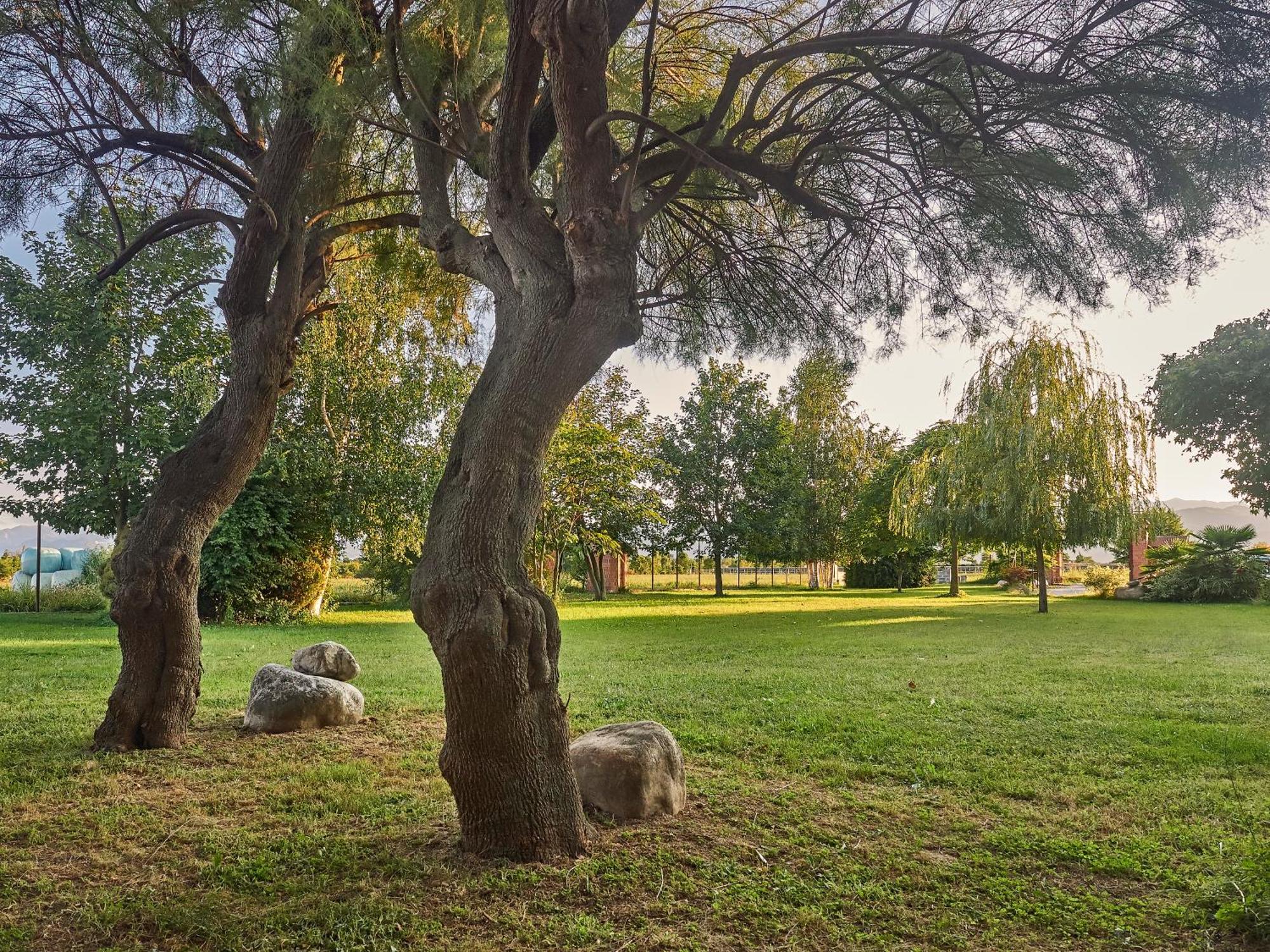 B&B Cascina Dell'Eco Busca エクステリア 写真